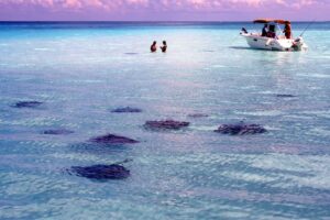Top 15 Must-See Attractions in the Cayman Islands